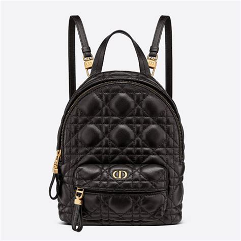 dior backpack mini.